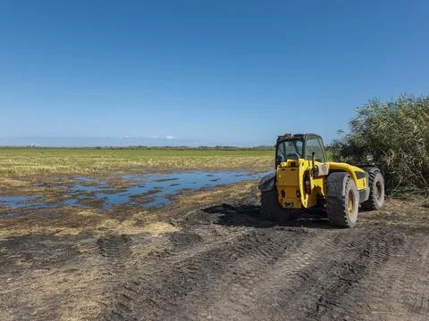 Yellow telescopic handler parked by flooded rice paddies under a clear blue.. Stock Photos