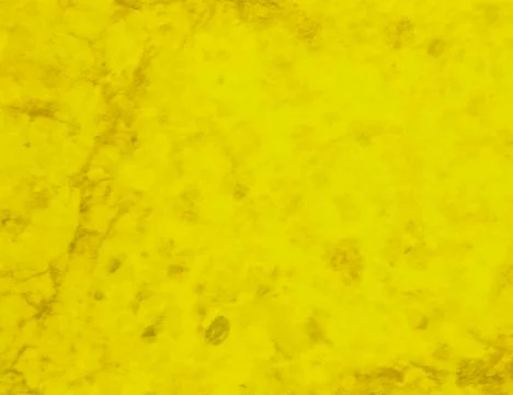 Yellow texture background backdrop for graphic design Stock Photos