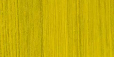 Yellow texture background backdrop for graphic design Stock Photos