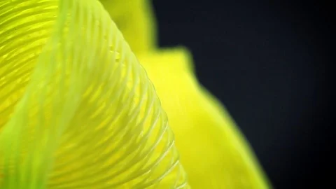 Yellow Texture Stock Footage 98679728