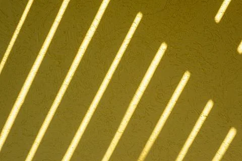 Yellow texture of the wall with a bark beetle pattern and light stripes. Su.. Foto stock