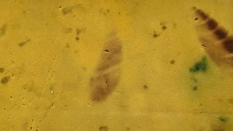 Yellow Textured Gritty Surface Background 스톡 사진
