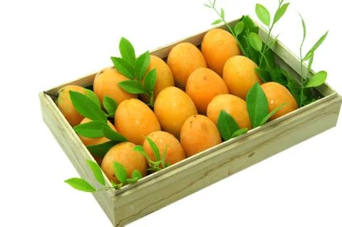 Yellow thai fruit, maprang. Stock Photos