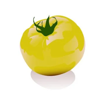 Yellow tomato 3D vector illustration Stock Illustration