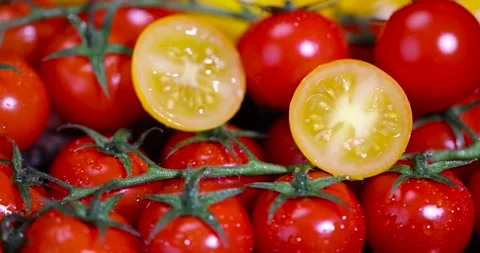 A yellow tomato cut into half and wet round fresh and sweet tomatoes , one Stock Footage 326368591