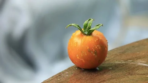 Yellow tomato on the marble under the drops of rain Stock Footage 204938514