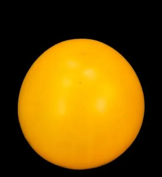 Yellow tomato Stock Photos