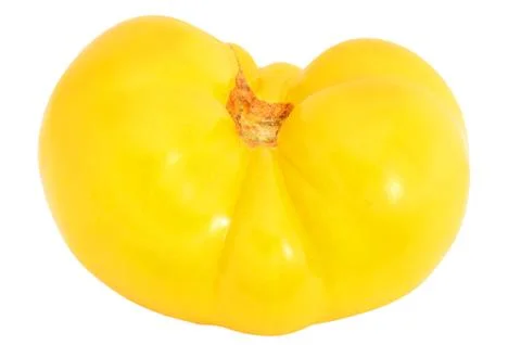 Yellow tomato Stock Photos