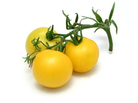 Yellow tomatoes Stock-Fotos