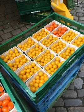 Yellow tomatoes Stock Photos