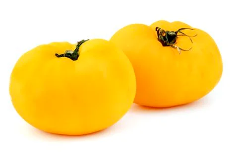 Yellow tomatoes Stock-Fotos