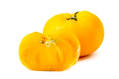 Yellow tomatoes Stock Photos