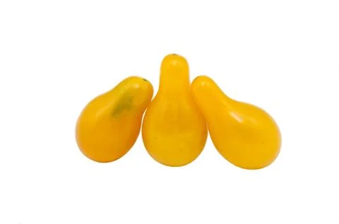 Yellow tomatoes Stock Photos