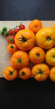 Yellow tomatoes Stock Photos