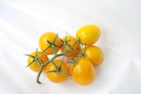 Yellow tomatoes on a white background Stock Photos