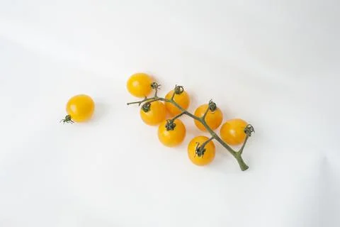 Yellow tomatoes on a white background Stock Photos