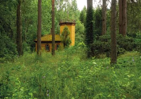 Yellow tower in forest Stock Photos