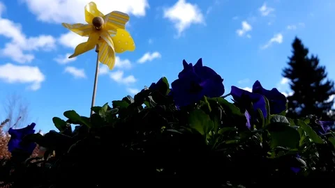 A yellow toy windmill spinning in front of the blue cloudy sky. Green energy. Stock Footage 104237828