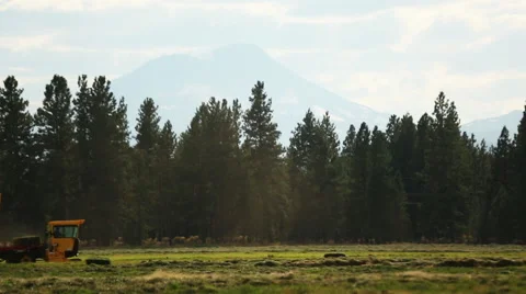 Yellow tractor loading bales of hay Stock Footage 51686683
