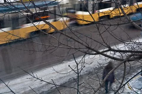 Yellow tram in motion through the branches Stock Photos