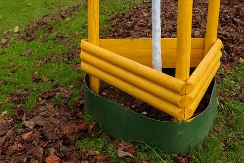Yellow tree guards protect young tree in a grassy area Stock Photos