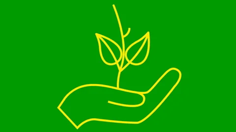 Yellow tree in hand green Stock Footage 229757924