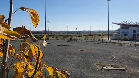 Yellow tree leaves and in the background Hipodromo de dos Hermanas Sevilla Stock Footage 224869776
