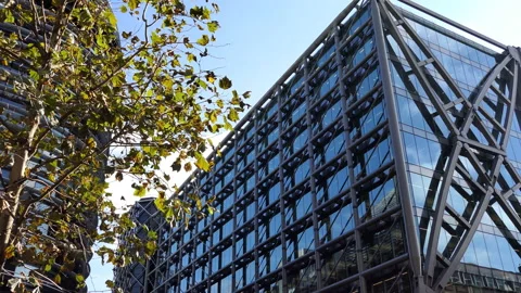 A yellow tree next to a glass office building. Stock Footage 97963280