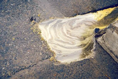Yellow tree pollen collected in a puddle and spilling onto the road asphalt.. Stock Photos