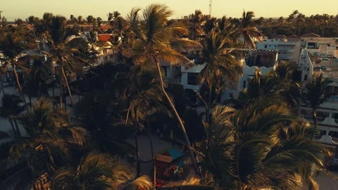 Yellow tropical sunset on beach. Waves, sky and yellow sun. Sunset background 스톡 동영상 290519829