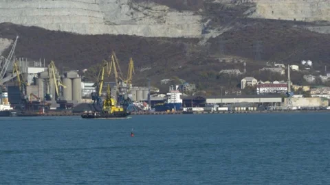 Yellow tug passes by container ships and dry cargo ships in Novorossiysk Bay. Stock Footage 165328918