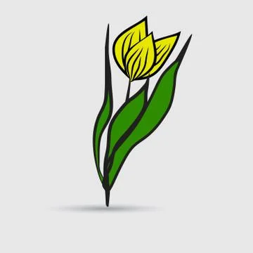 Yellow tulip. Stock Illustration