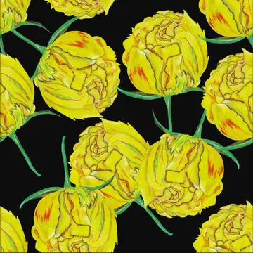 Yellow tulip Stock Illustration