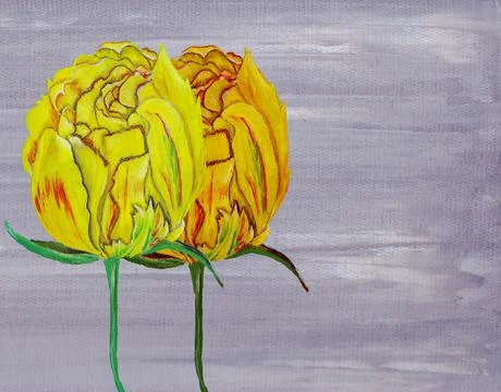 Yellow tulip Stock Illustration