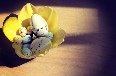 Yellow tulips and easter eggs Stock Photos