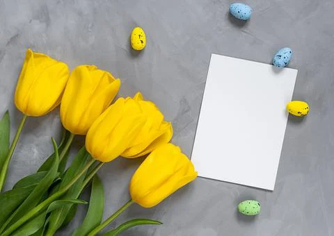 Yellow tulips and easter eggs with white paper with copy space Stock Photos