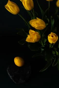 Yellow tulips and Easter eggs Stock Photos