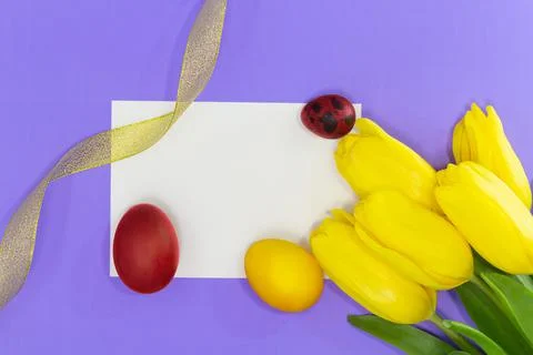 Yellow tulips with empty white sheet for text Stock Photos
