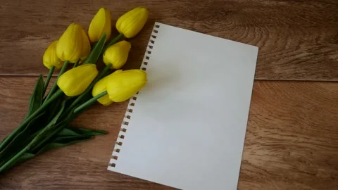 Yellow tulips next to a white sheet of paper Stock Footage 150219683