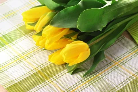 Yellow tulips Stock Photos