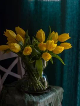 Yellow tulips Stock Photos