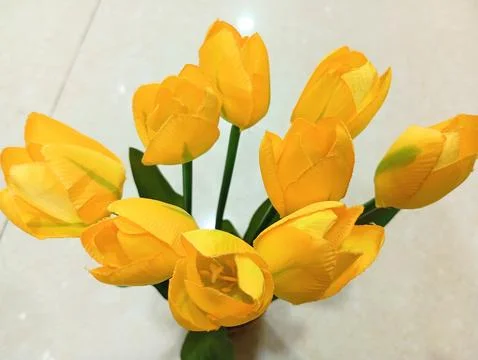 Yellow tulips Stock Photos