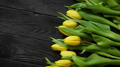 Yellow tulips placed on black table. Top view with flat lay Stock Footage 151119341
