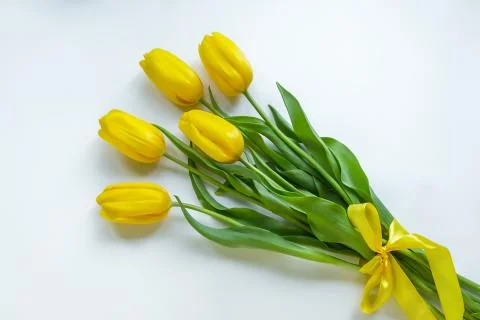 Yellow tulips on white background Stock Photos