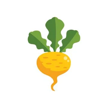 Yellow turnip root vegetable growing with leaves illustration Stock Illustration