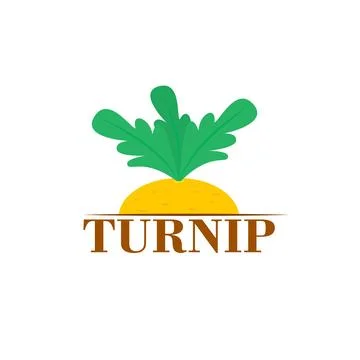 Yellow turnip vegetable logo. Vector isolated illustration. Clipart and drawing. Stock Illustration