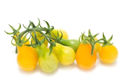 Yellow vine tomatoes Stock-Fotos