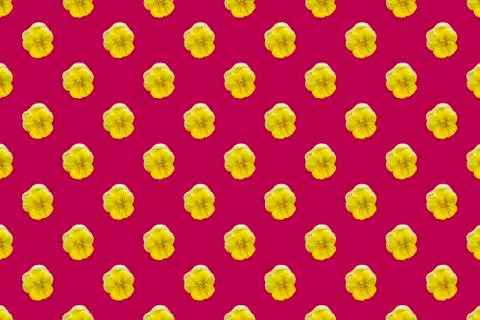 Yellow viola flowers seamless pattern isolated on red background Stock Illustration