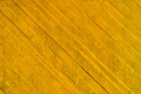 Yellow wall background with lines Foto stock