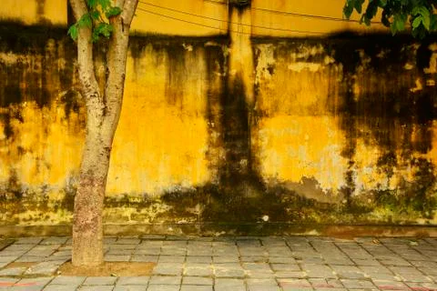 Yellow Wall in Hoi An Stock Photos